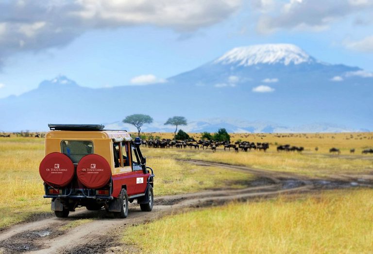 game-drive